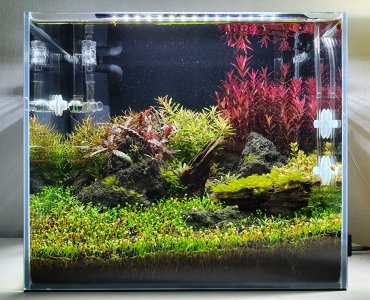 20230507_111607.jpg 20230507_111607.jpg