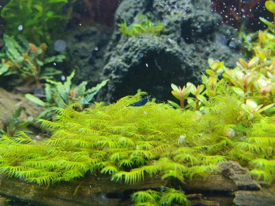 20230507_112126.jpg 20230507_112126.jpg