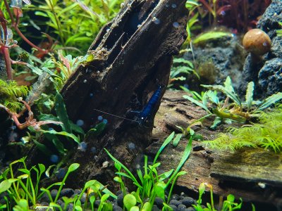 PSX_20230405_160121.jpg PSX_20230405_160121.jpg