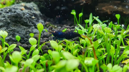 PSX_20230330_190029.jpg PSX_20230330_190029.jpg