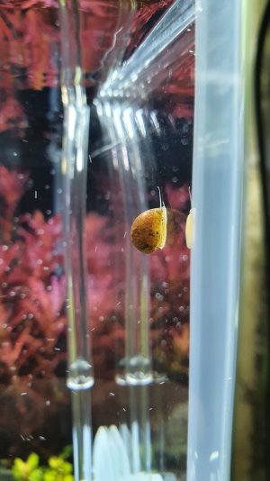 20230507_114439.jpg 20230507_114439.jpg