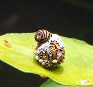 20230507_130101.jpg 20230507_130101.jpg