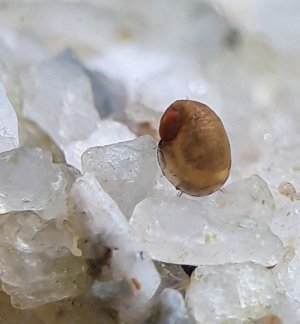 20230506_001301.jpg 20230506_001301.jpg