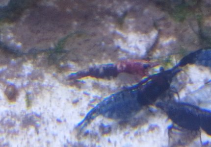 IMG20230513193325.jpg IMG20230513193325.jpg