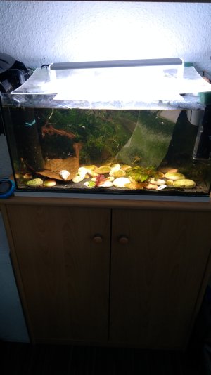 IMG_20231125_162142.jpg IMG_20231125_162142.jpg