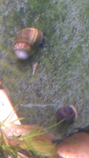 IMG_20231125_162322_copy_1684x2995.jpg IMG_20231125_162322_copy_1684x2995.jpg