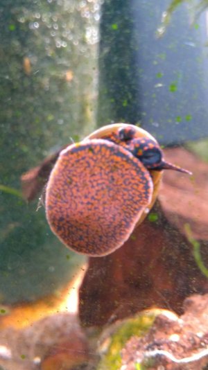 IMG_20231126_134934_copy_1684x2995.jpg IMG_20231126_134934_copy_1684x2995.jpg