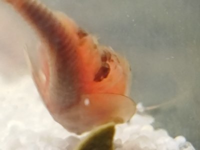 1701354023458.jpg 1701354023458.jpg