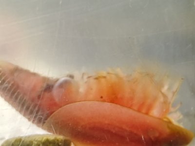 1701354023462.jpg 1701354023462.jpg