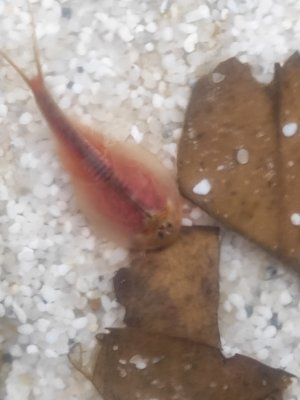 1701354023453.jpg 1701354023453.jpg