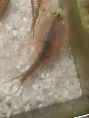 1701354023449.jpg 1701354023449.jpg