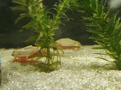 t_20231205.jpg t_20231205.jpg