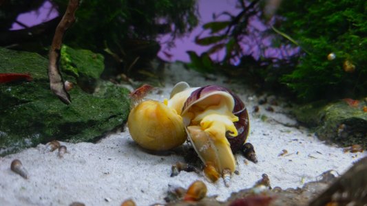 WhatsApp Bild 2024-01-08 um 19.32.57_480cd417.jpg