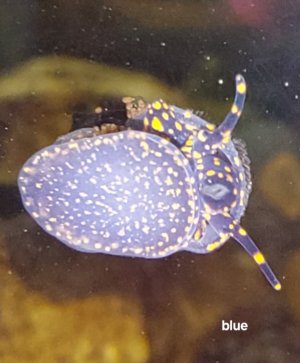 20240118_145031.jpg 20240118_145031.jpg