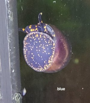 20240118_145023.jpg 20240118_145023.jpg