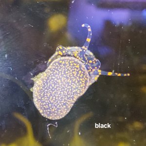 20240119_143102.jpg 20240119_143102.jpg