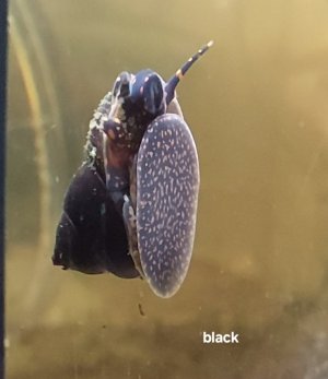 20240118_081303.jpg 20240118_081303.jpg