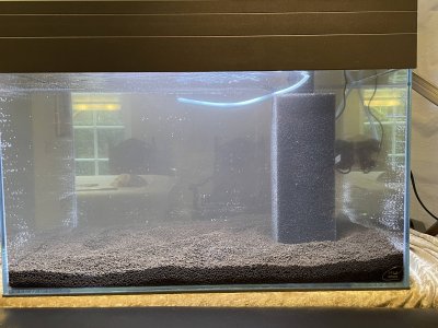 Aquarium 90l (5).jpg