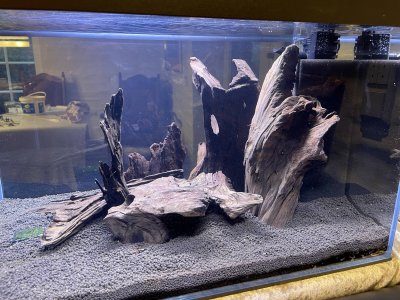 Aquarium 90l (7).jpg