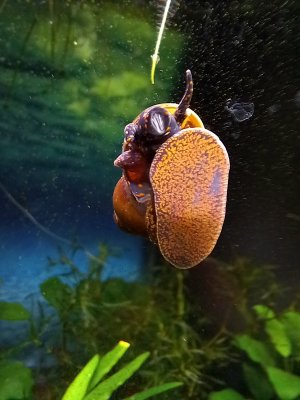 20240301_195042.jpg 20240301_195042.jpg