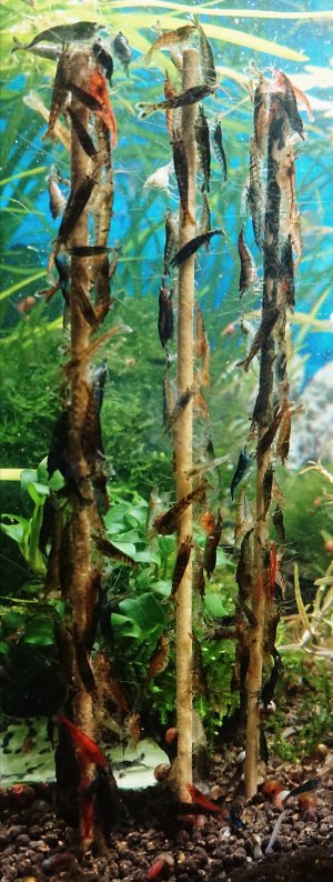 _20210514_154342.JPG _20210514_154342.JPG