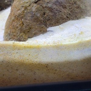 20240307_151027.jpg 20240307_151027.jpg