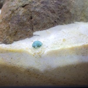 20240307_151149.jpg 20240307_151149.jpg