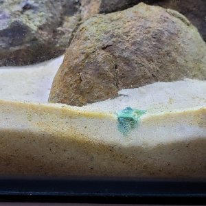 20240307_152209.jpg 20240307_152209.jpg