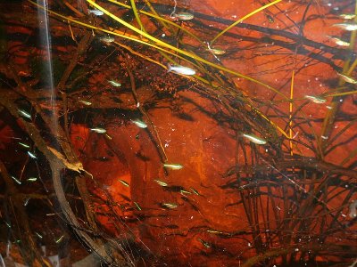 comp_P1018561.jpg comp_P1018561.jpg