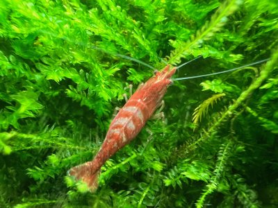 IMG_8264.jpeg IMG_8264.jpeg