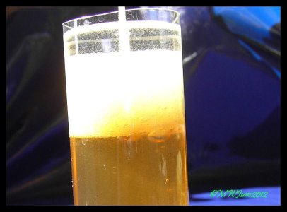 Essigaelchen4.jpg Essigaelchen4.jpg