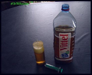 Essigälchen2.jpg Essigälchen2.jpg