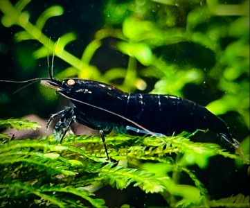 Photo-3.jpeg Photo-3.jpeg