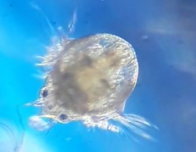 20240601_130611.jpg 20240601_130611.jpg