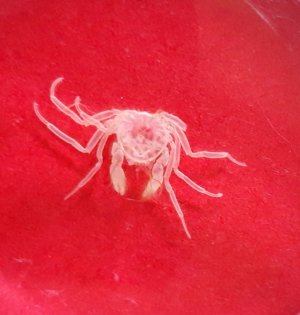 20240610_091743.jpg 20240610_091743.jpg