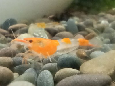 IMG_20240604_153454_copy_1200x900.jpg IMG_20240604_153454_copy_1200x900.jpg