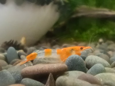 IMG_20240604_152920_copy_1200x900.jpg IMG_20240604_152920_copy_1200x900.jpg