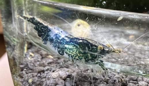 IMG_8981_Original.jpeg IMG_8981_Original.jpeg