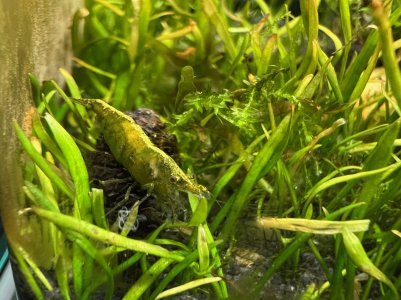 IMG_7354.jpeg IMG_7354.jpeg