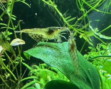 IMG_8412.jpeg IMG_8412.jpeg