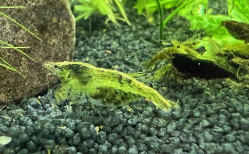 IMG_8457.jpeg IMG_8457.jpeg