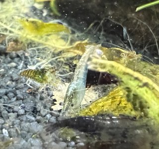 IMG_8471.jpeg IMG_8471.jpeg