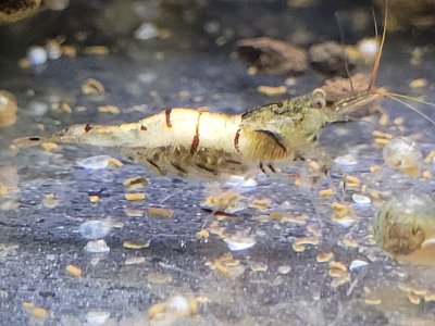 20240620_190528.jpg 20240620_190528.jpg