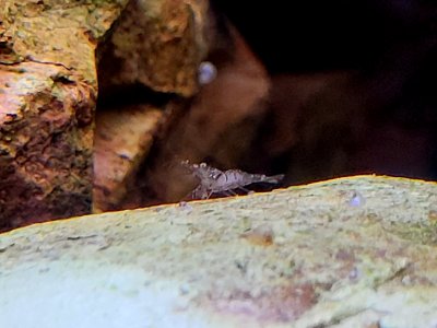 20240620_190446.jpg 20240620_190446.jpg