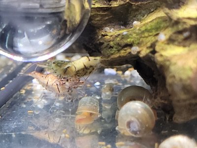 20240620_185757.jpg 20240620_185757.jpg