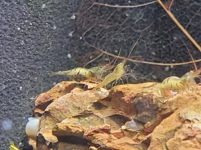 20240620_185727.jpg 20240620_185727.jpg