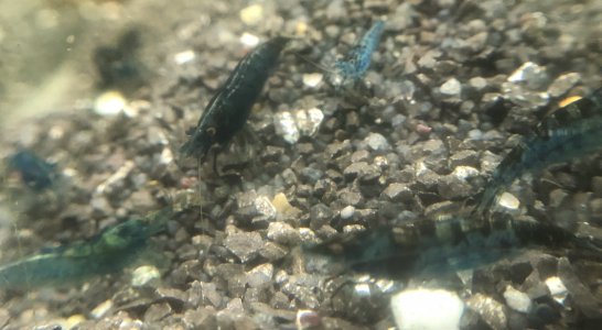 IMG_9836.jpeg