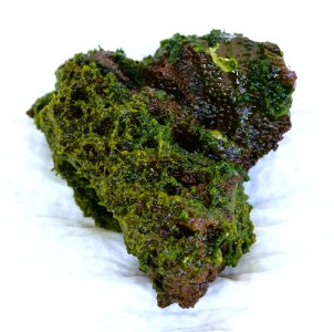 Algenstein.JPG Algenstein.JPG