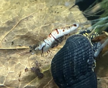 IMG_2496.jpeg IMG_2496.jpeg