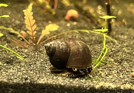 IMG_4580.jpeg IMG_4580.jpeg